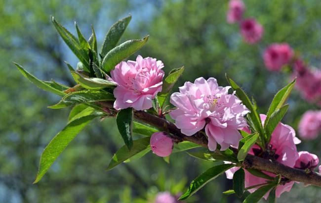 菠菜资源网：澳门天天彩资料大全网站m6(澳门天天彩资料大全网站m6期开奖结果) (6)