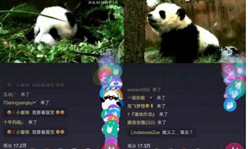 罗马协会熊猫直播间(罗马协会录像回放) (3)